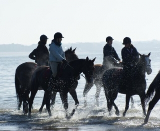  Cavalry of the La Gourmette club 